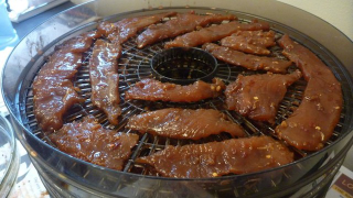 Illustration for article titled The Ronco Food Dehydrator Was My Gateway Gadget
